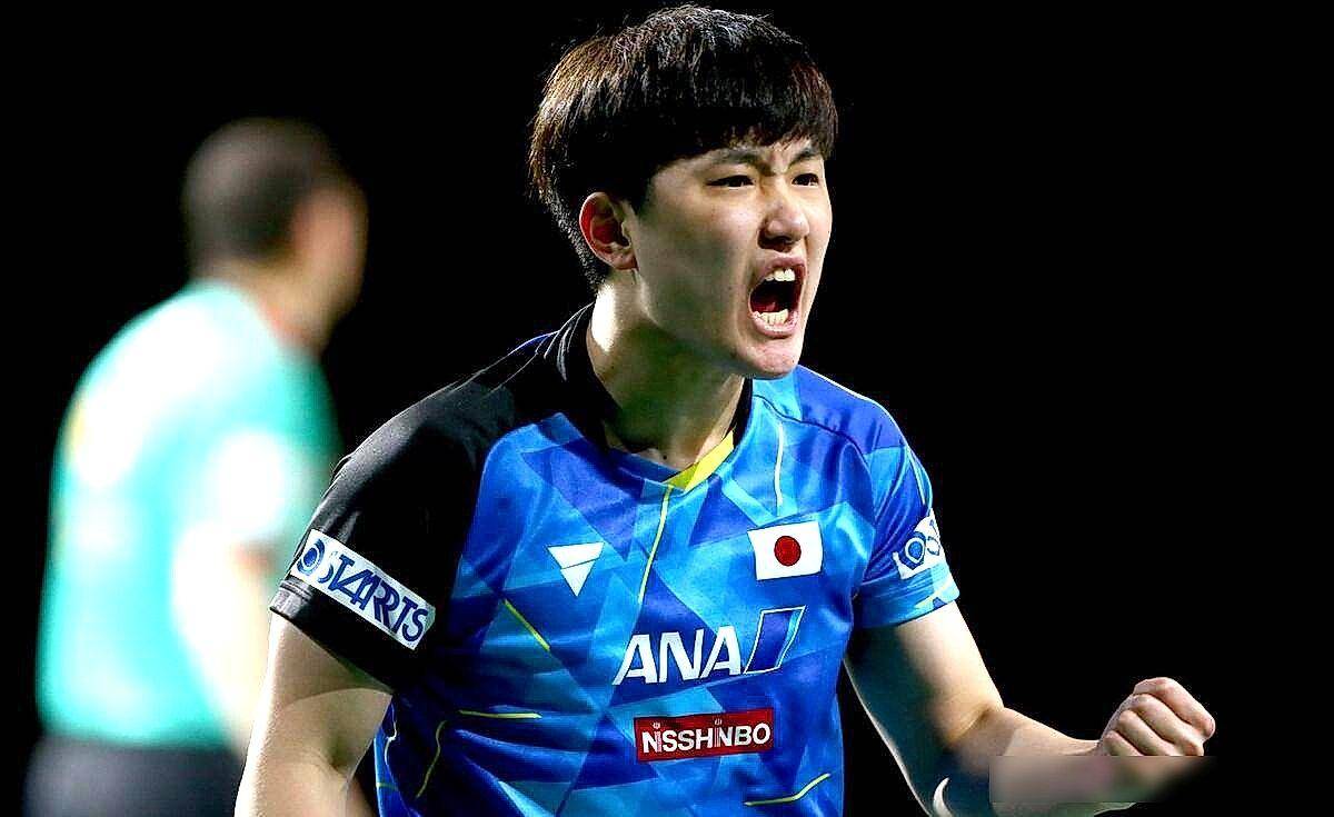 关于中国队翻盘波兰队,张本智和高光表现的信息 关于中国队翻盘波兰队,张本智和高光表现的信息