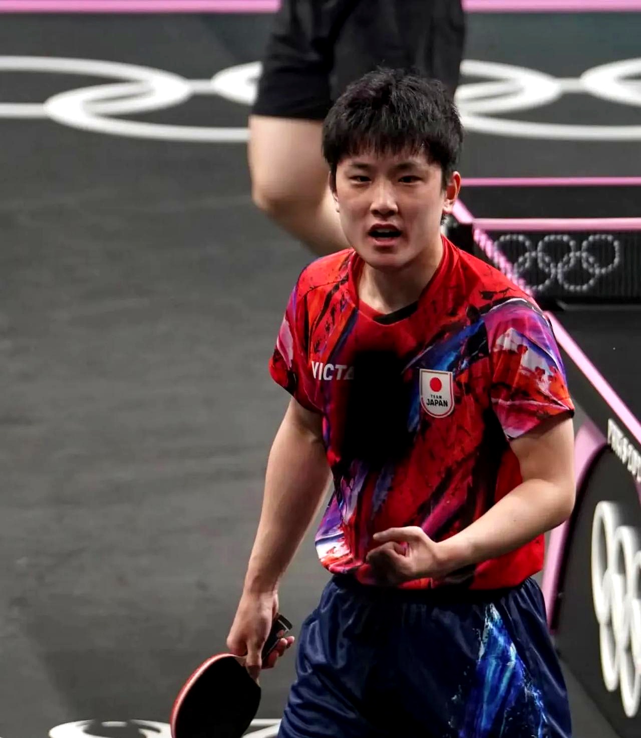 关于中国队翻盘波兰队,张本智和高光表现的信息 关于中国队翻盘波兰队,张本智和高光表现的信息