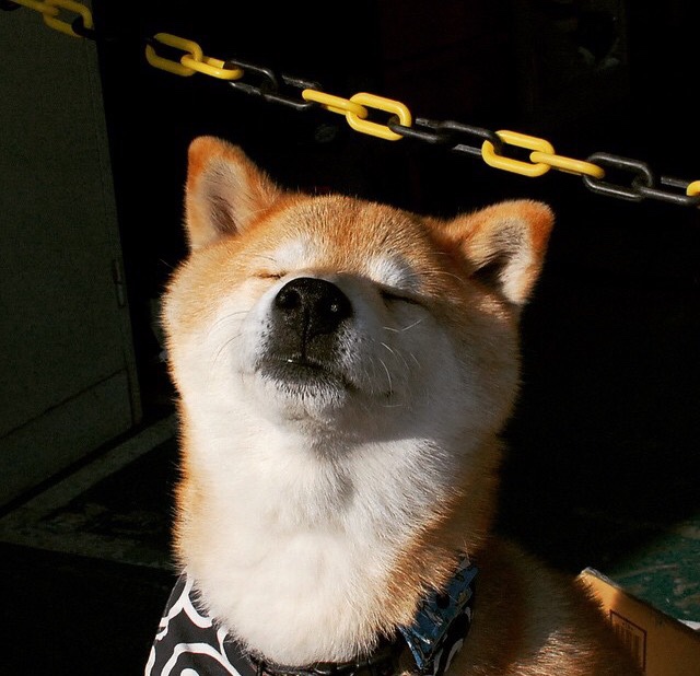 绝尘封王，班凯罗完美风暴，深圳主场日落观澜