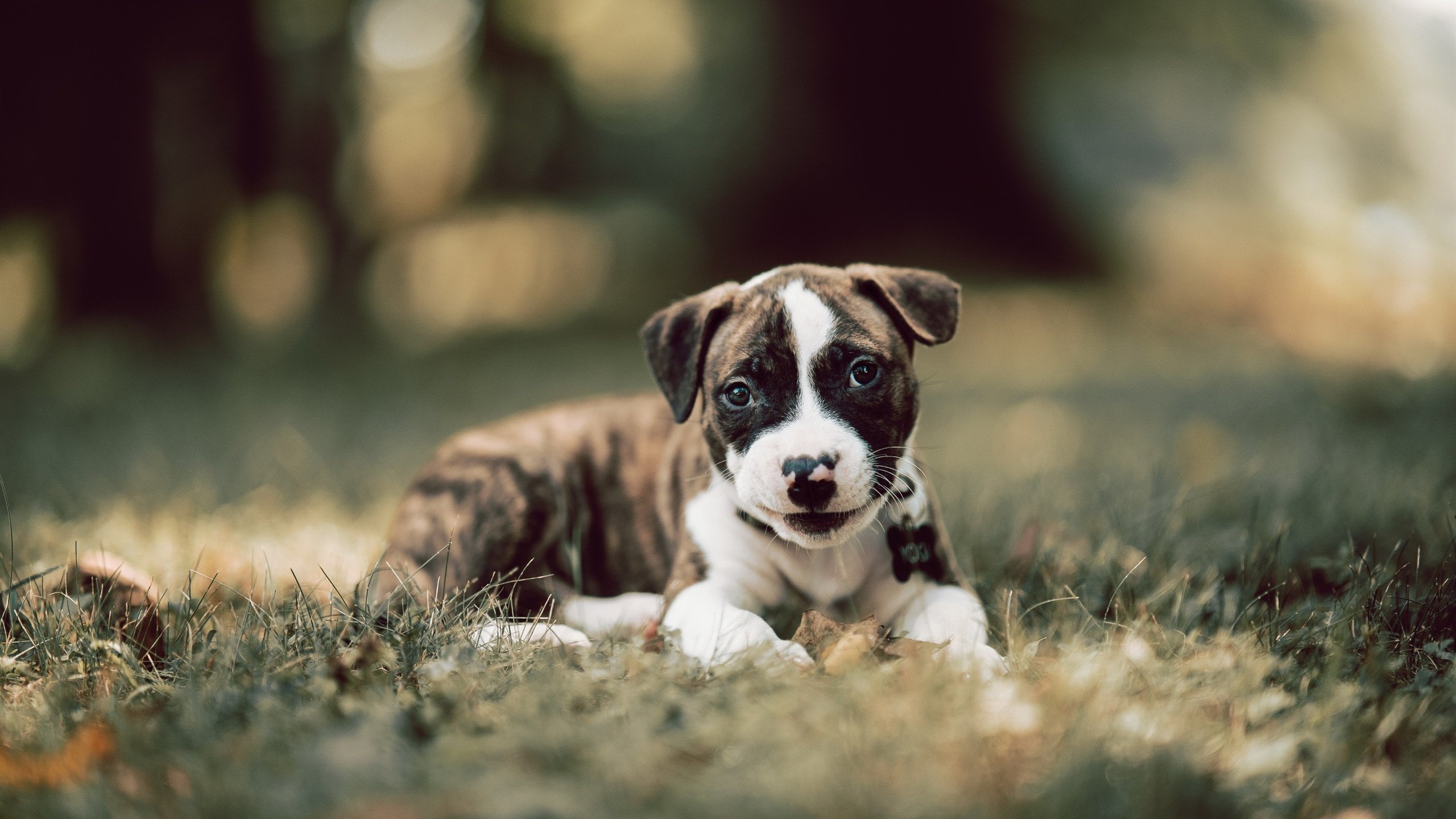 慈善赛惊艳，阿尔及利亚对阵巴萨，莫德里奇状态火热独造三球