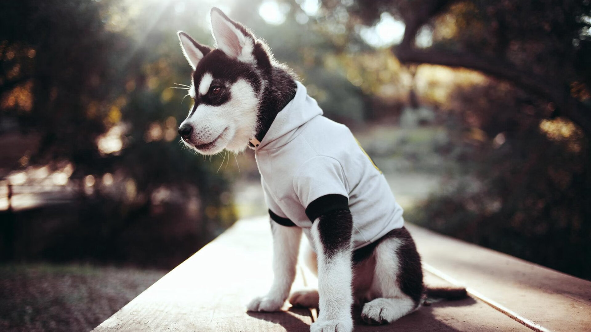 当计时器走向归零，乔治打光了所有的子弹