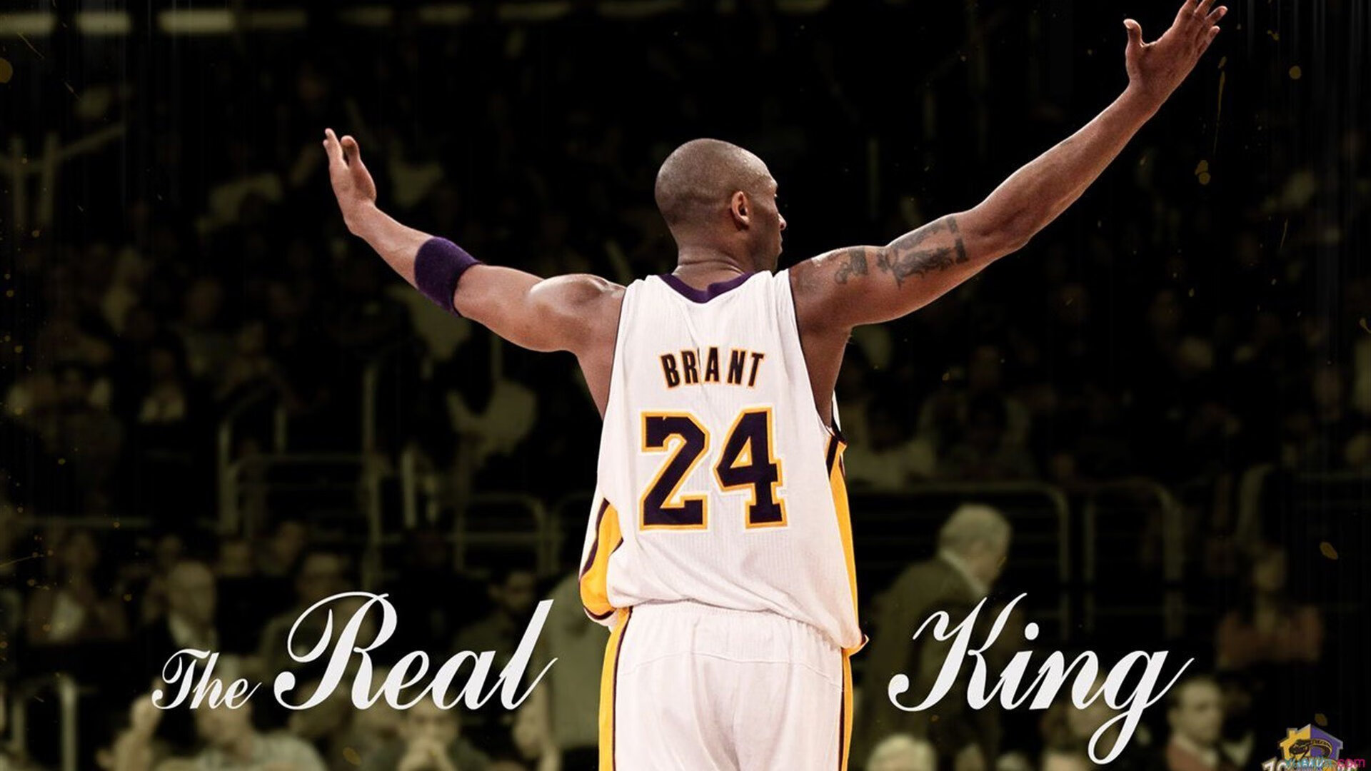 这个奇才不是球队，是广厦队从华盛顿偷走的魔法—拉文如何用两记罚球写就逆转传奇