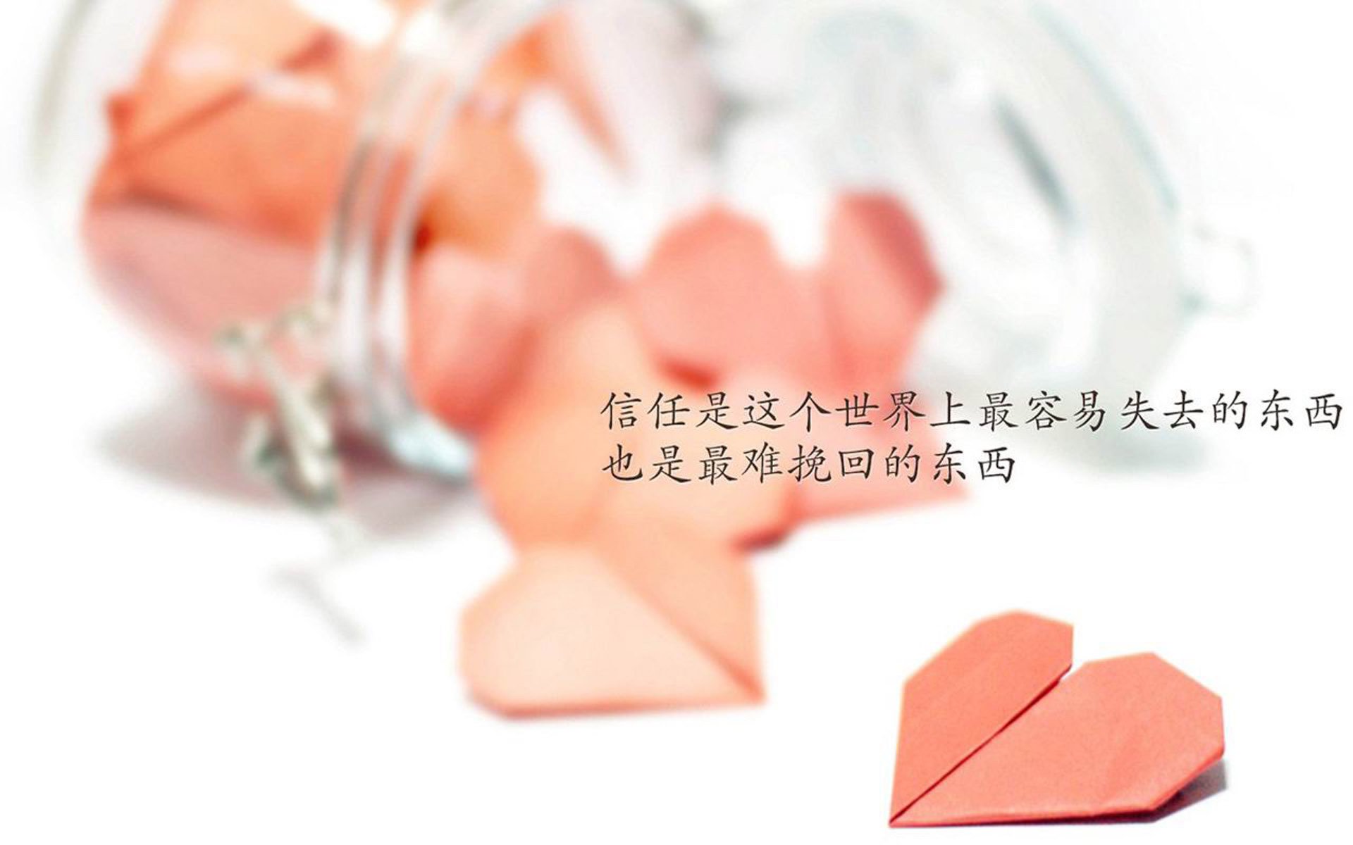 深蓝竞技场,当贝恩用三分雨浇灭奥兰多,深圳队以战术火力拆解魔术代码