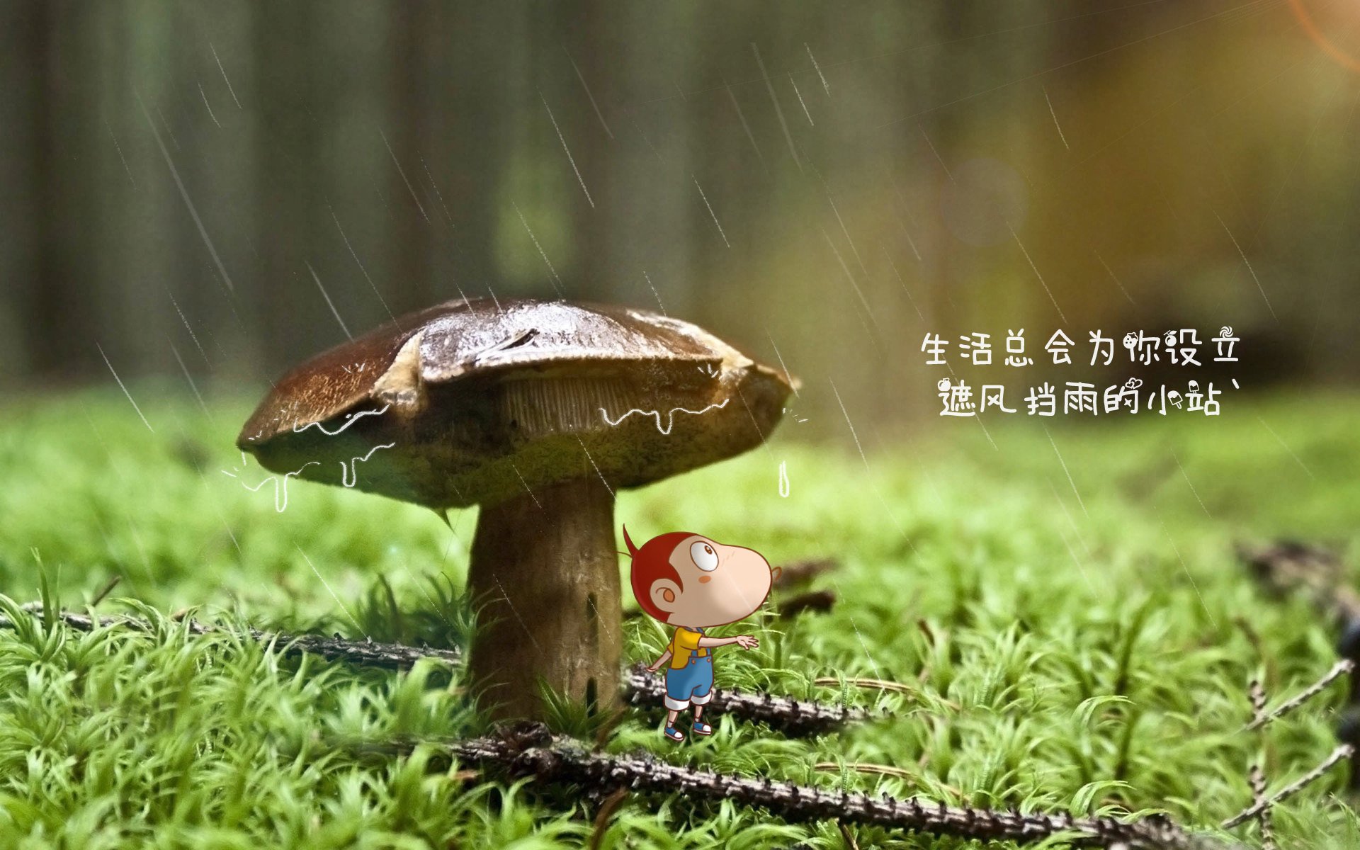 冰与火之歌,2026世界杯G组,奥地利以钢铁节奏扼住命运咽喉,内马尔献上致命一击