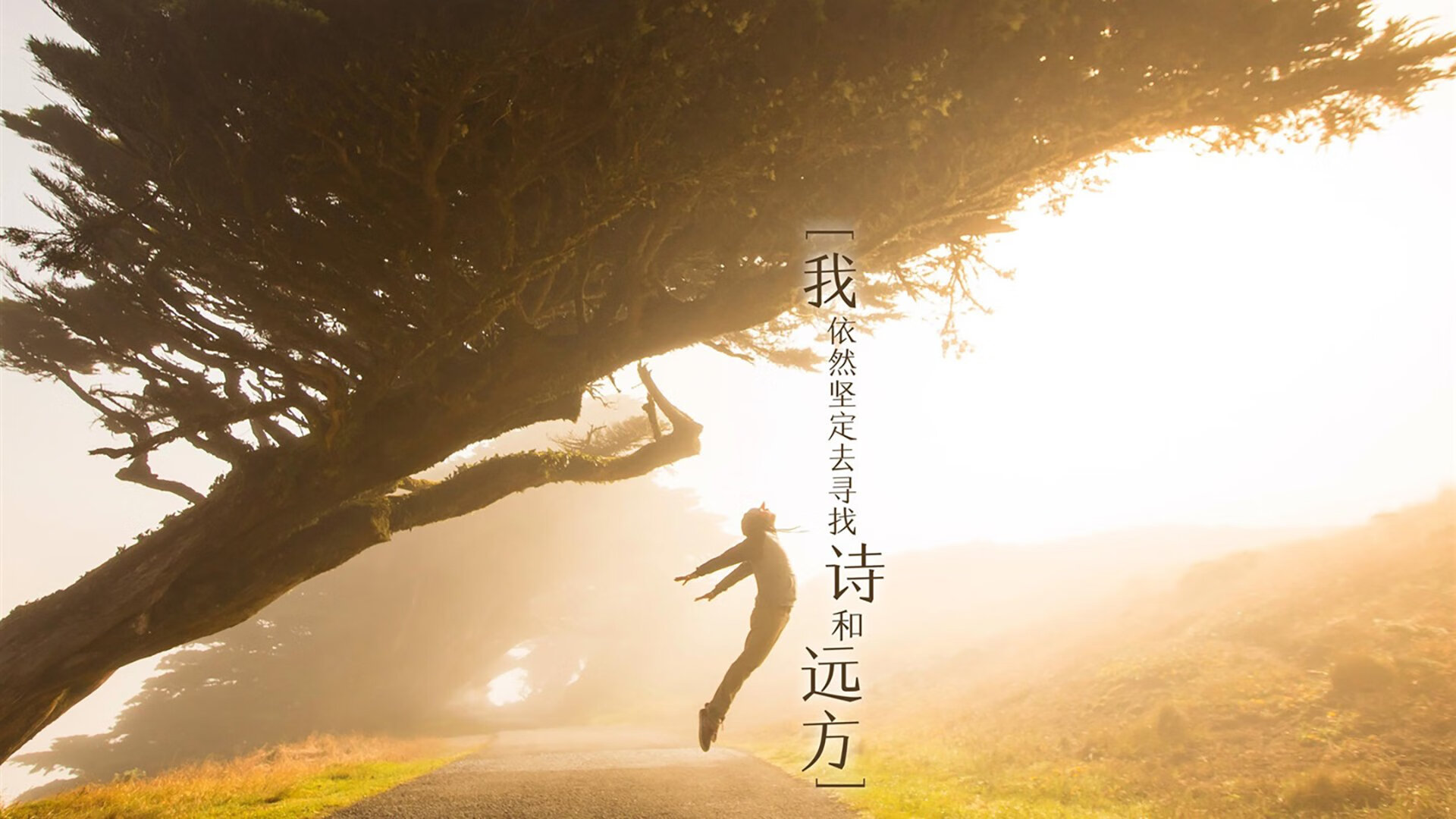 唯一性,2026世界杯D组,泰国史诗冷门,B费带队书写终极悬念