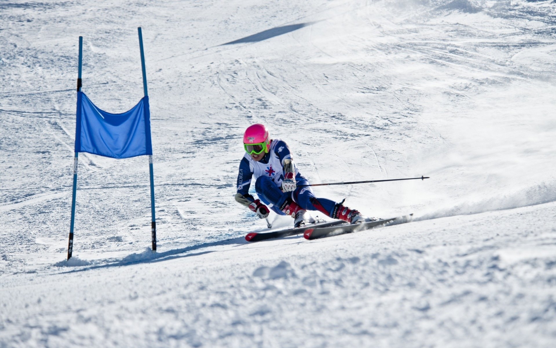 赌徒的第七感，2026世界杯E组，一场被瑞士冷血基因与罗德里戈灵魂出窍共同定义的终极审判