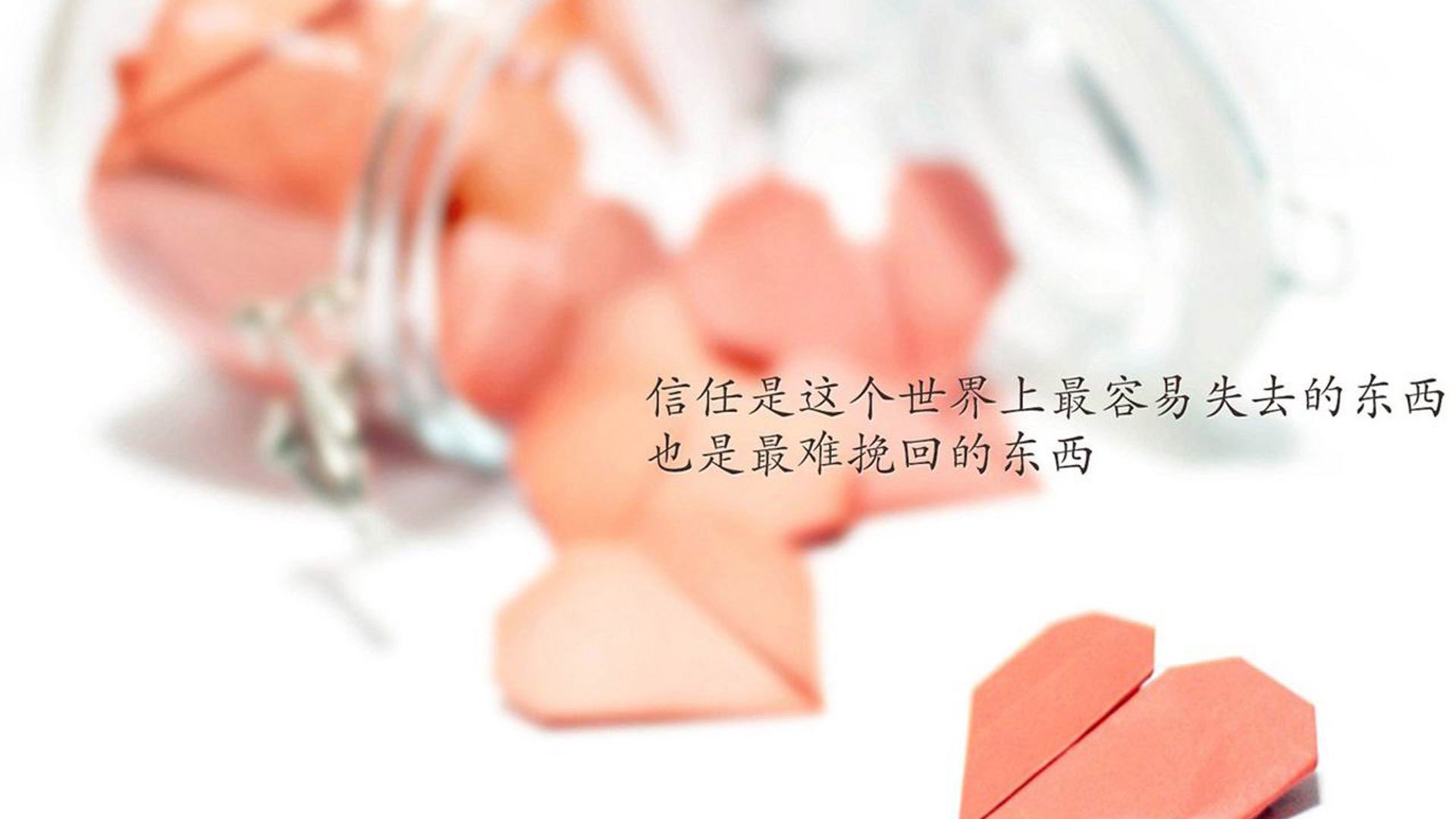 以下是为你构思的文章标题和内容